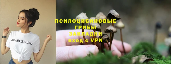 твердый Белокуриха