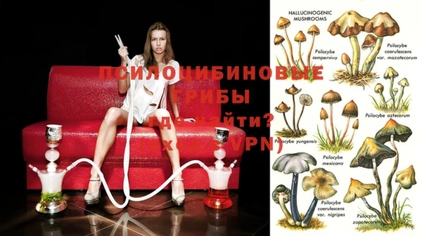 твердый Белокуриха