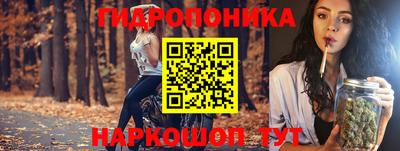 эйфоретик Гатчина