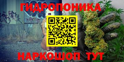 эйфоретик Гатчина