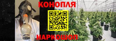 бошки Гагарин