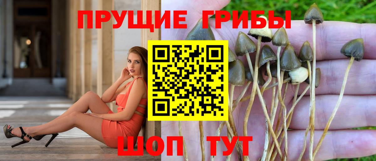 Воскресенск  Галлюциногенные грибы MAGIC MUSHROOMS  Вход с VPN 